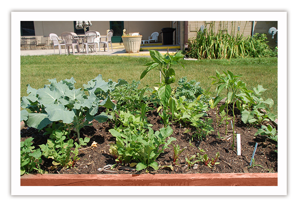 gardening